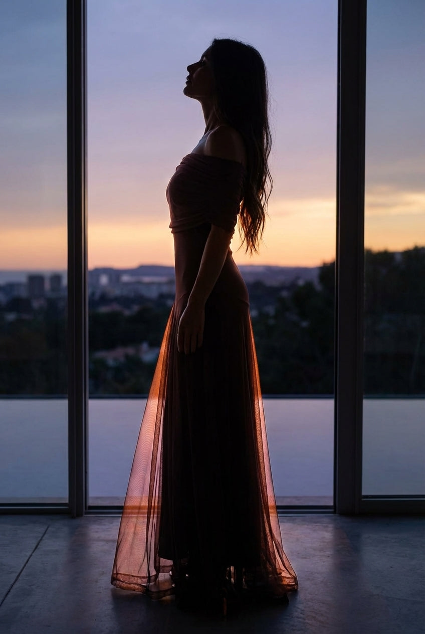 SELENE ONE-SHOULDER MESH MAXI DRESS
